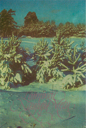 ruik-4.jpg