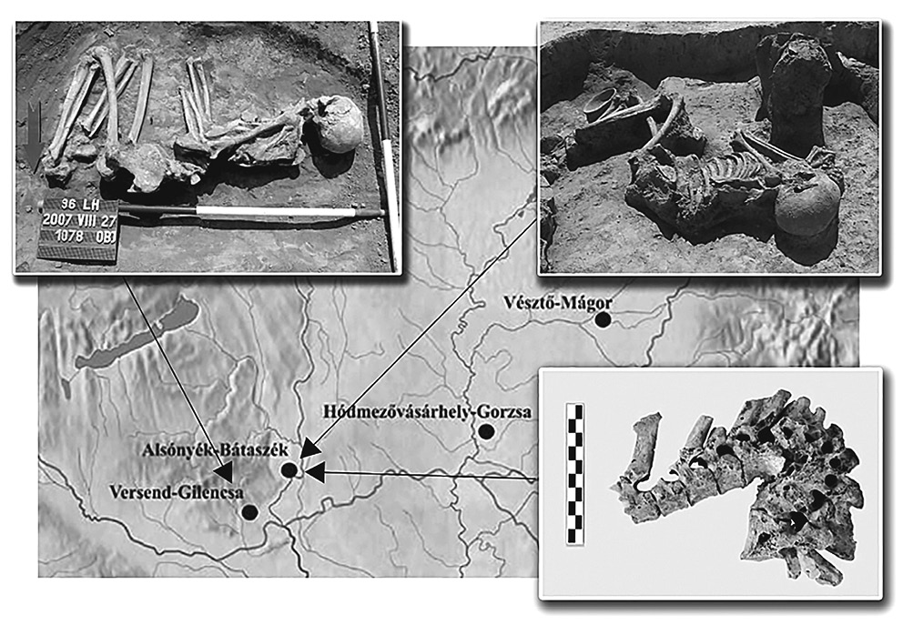 Fig.7.jpg