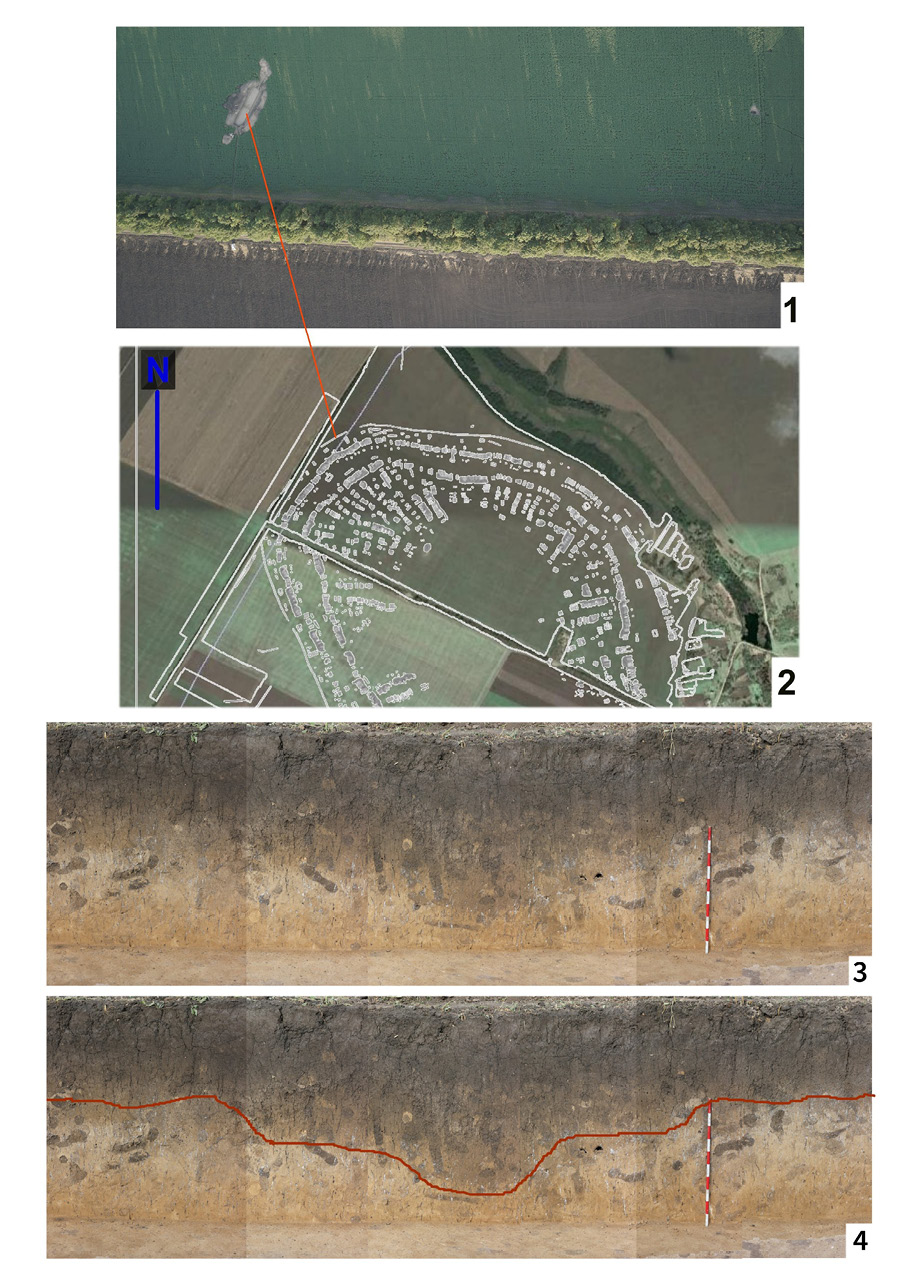 fig6.jpg