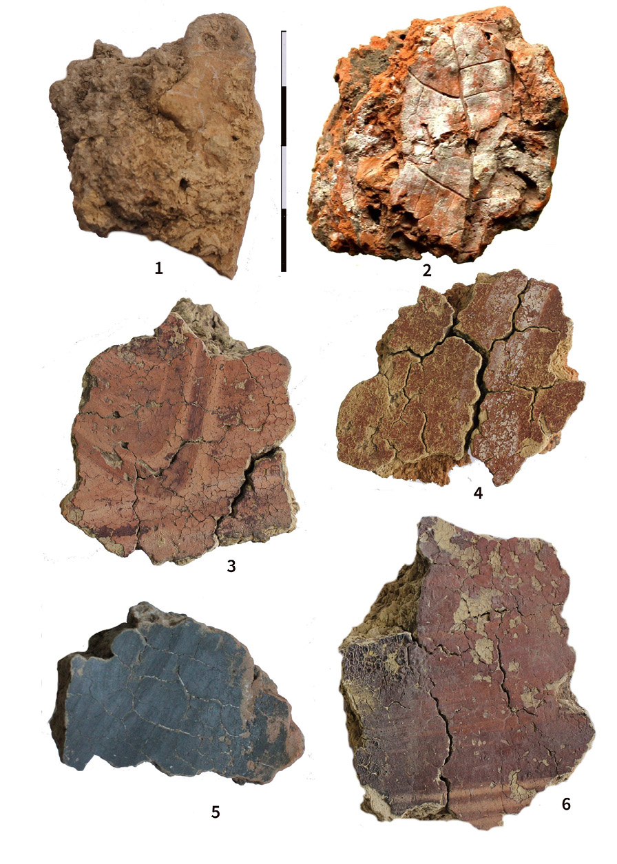 fig10.jpg