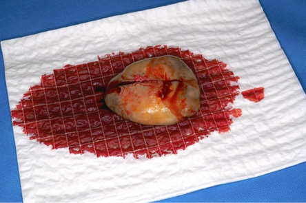 A piece of food with red liquid on it.

Description generated by AI