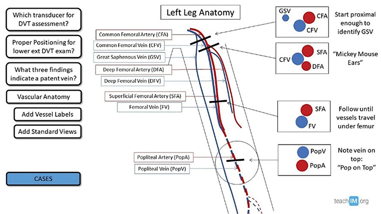 A diagram showing the different stages of a medical procedure.

Description generated by AI