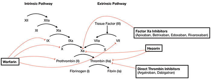A diagram of a cell with a red line going through it.

Description generated by AI