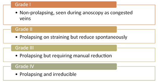 A white background with text describing the different grades of prolapsing.
Description generated by AI