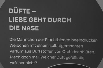 Text in German discusses how the scents of orchid blossoms impress female carpenter bees and invites the reader to smell and choose their favorite fragrance.

Description generated by AI
